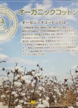 オーガニックコットン☆